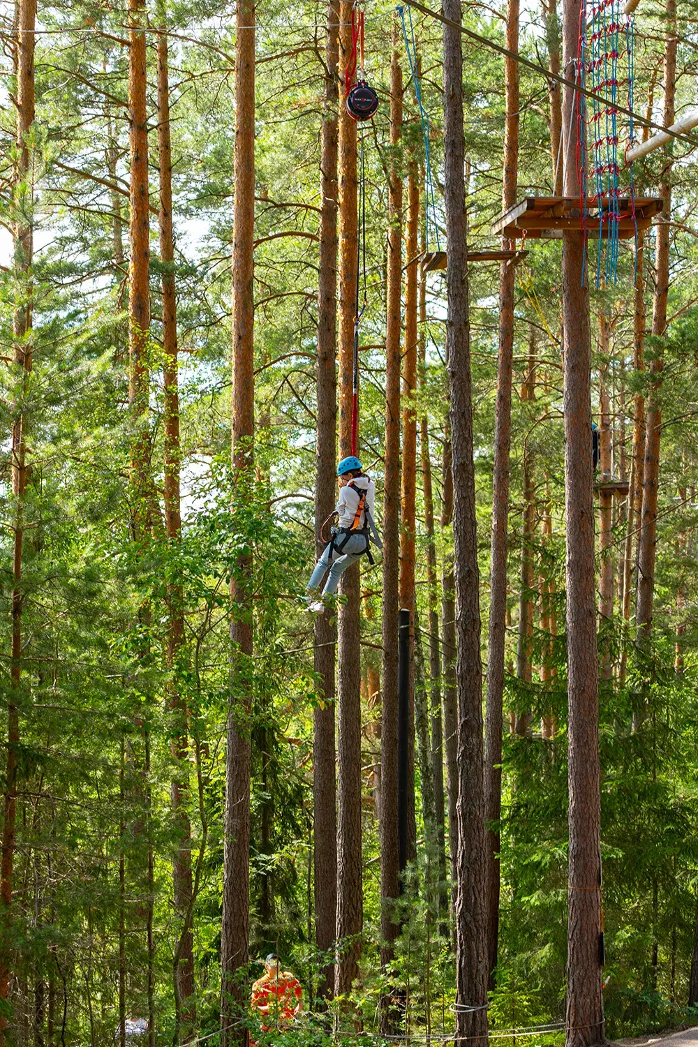 Person utrustad med klättersele i höghöjdsbanan